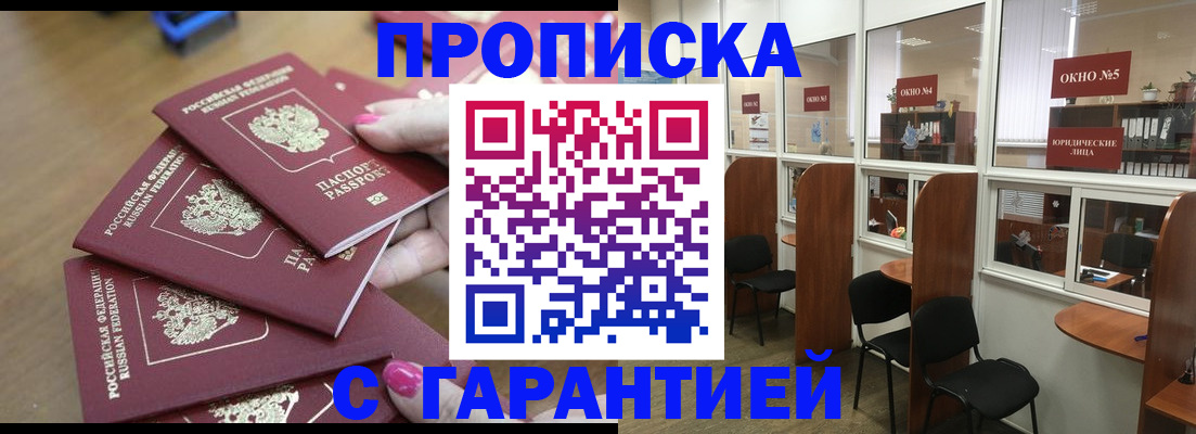 прописка поиск в Бийске